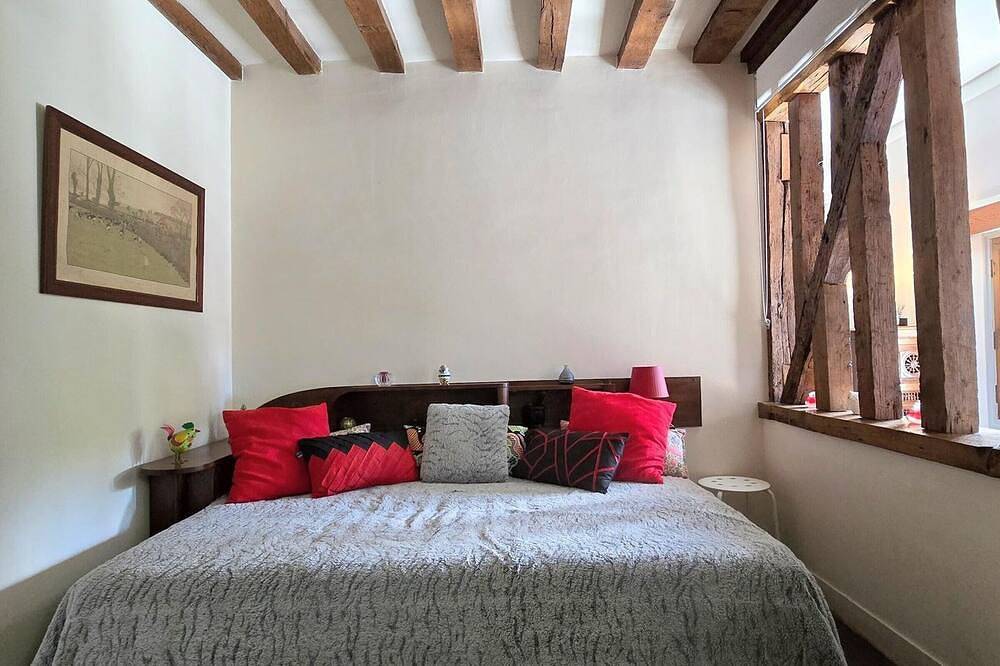Auberge médiévale à Houdan avec jardin clos, animaux acceptés, Wifi et parking sécurisé in Houdan, Yvelines