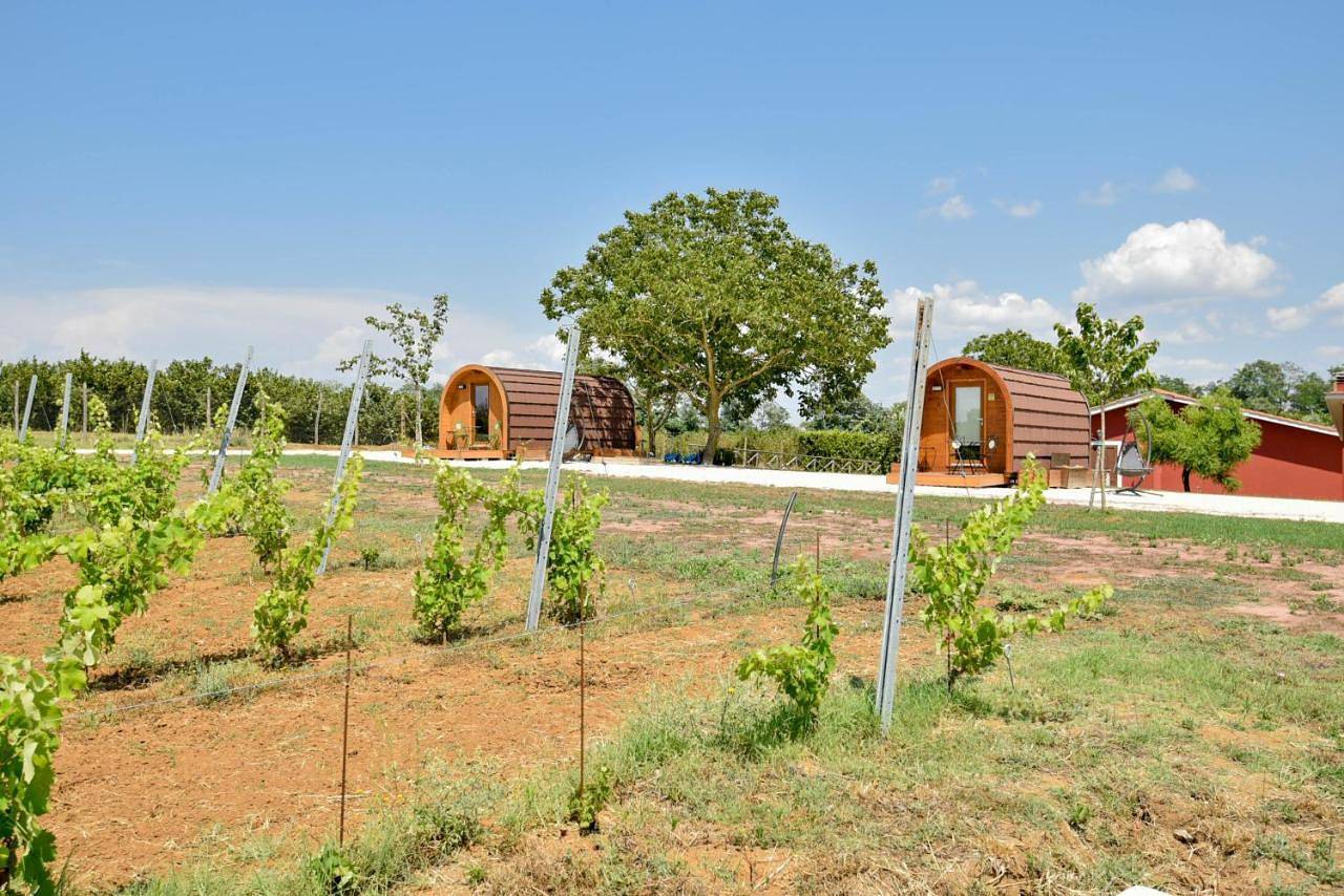 Terre Di Nacchia in Capodimonte, Lago di Bolsena