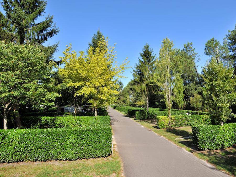 Camping des Abesses - Mobilheim 4 personen - Mobilheim Classique in Saint-Paul-lès-Dax, Dax und Umgebung