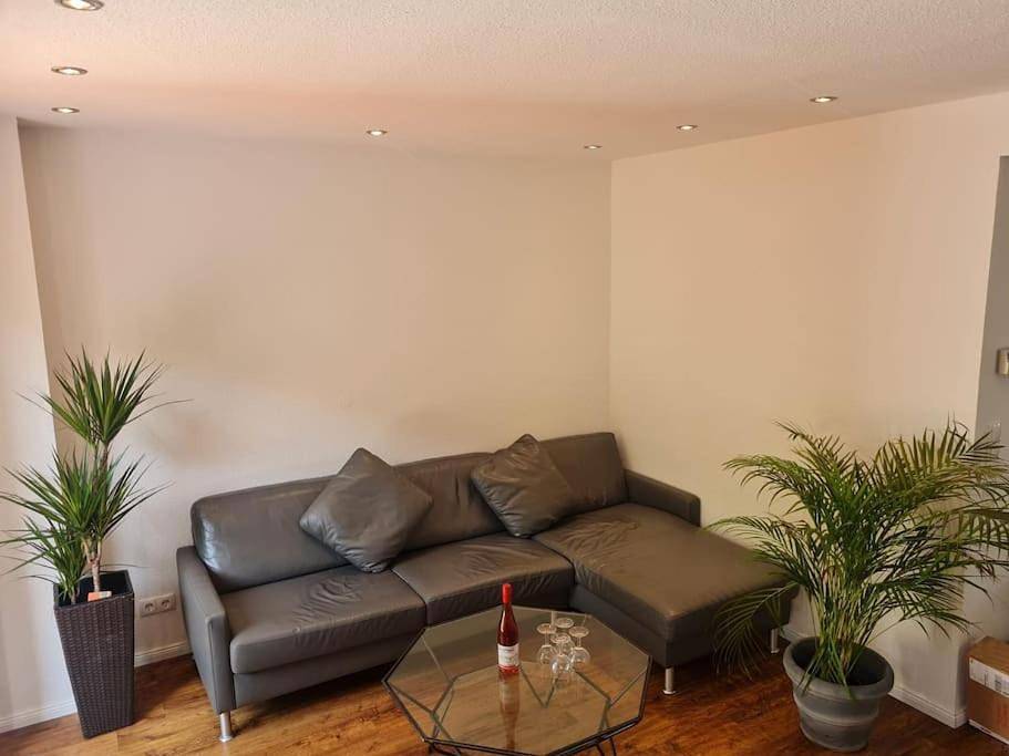 Ganze Wohnung, Two-Bedroom Apartment in Bonn, Rheinland