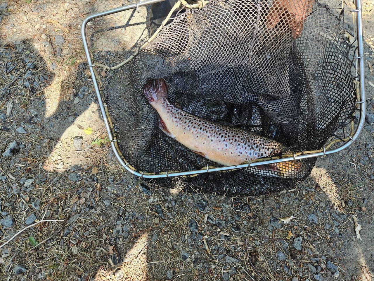 Cottage mit Whirlpool in Kalvshult, Kronoberg