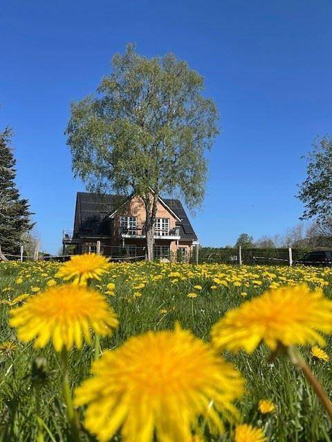 Noor Og mit Studio Nr.4 in Haby, Ostsee Schleswig-Holstein