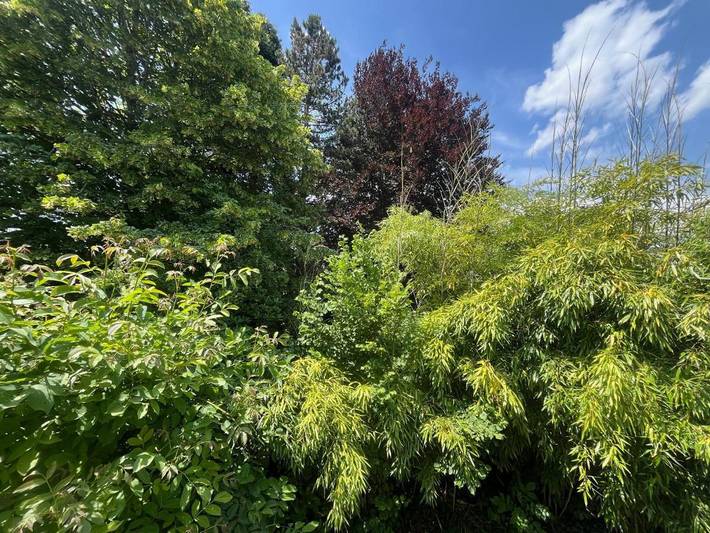 Location de vacances pour 7 personnes, avec jardin et vue, adapté aux familles dans Berg Am Starnberger See - 3