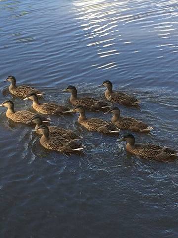 Lake House for 4 Guests in Louisiana, USA, Picture 2
