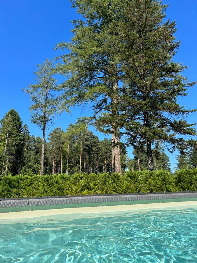 Location de vacances pour 15 personnes, avec jardin ainsi que piscine et vue à Nouan-le-Fuzelier - 4