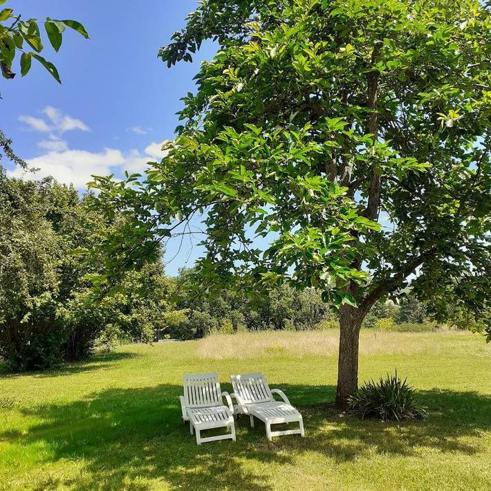 Gîte pour 3 personnes, avec jardin et piscine à Saint-Sylvestre-sur-Lot - 3