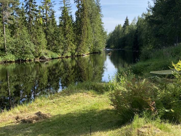 Notkontaus in Nord-Savo