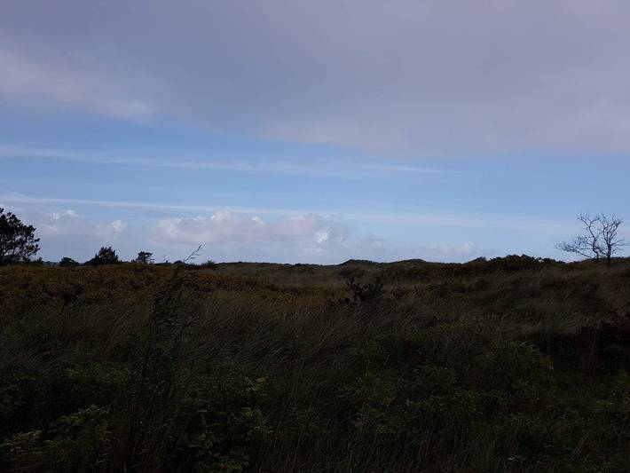 Ferienhaus für 6 Personen, mit Garten und Whirlpool sowie Sauna und Terrasse, mit Haustier in Bratten - 3