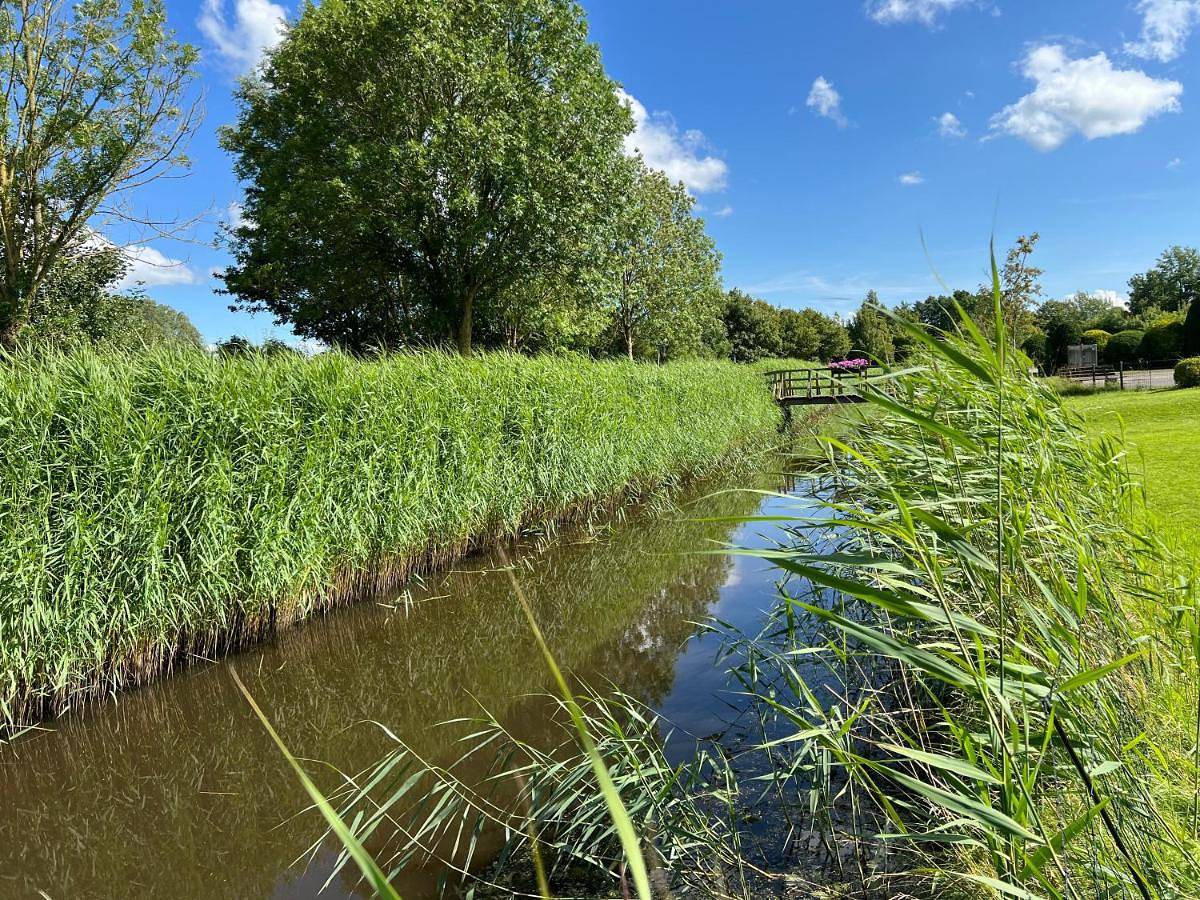Ferienhaus Kehrwedder an der Nordsee - bei Friedrichstadt in Koldenbüttel, Eider-Treene-Sorge