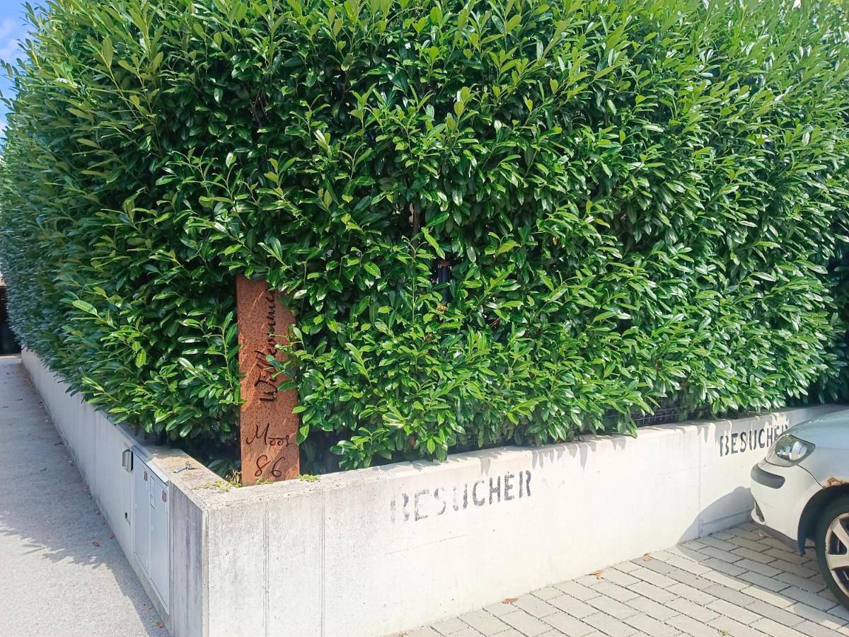 Ganze Ferienwohnung, Double Room with Private Bathroom in Kuchl, Tennengau