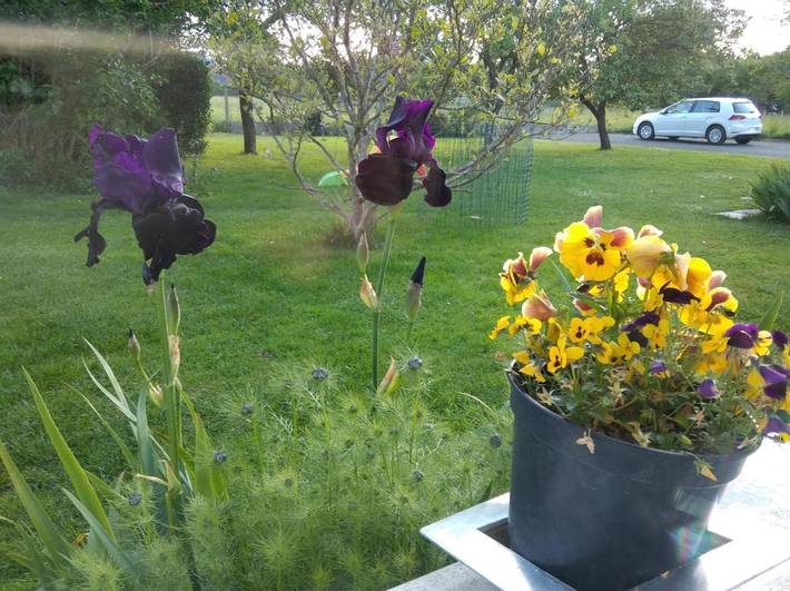 Location de vacances pour 2 personnes, avec vue et jardin à Saint-Pavace - 3