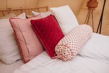 Glamping for 4 People in Bladel, North Brabant, Photo 3