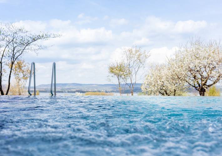 Hotel für 3 Personen, mit Garten und Sauna, kinderfreundlich in Gaienhofen - 2