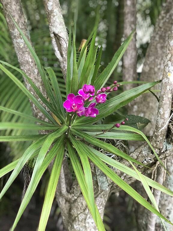Vacation rental for 7 people, with yard and terrace in Boca Raton