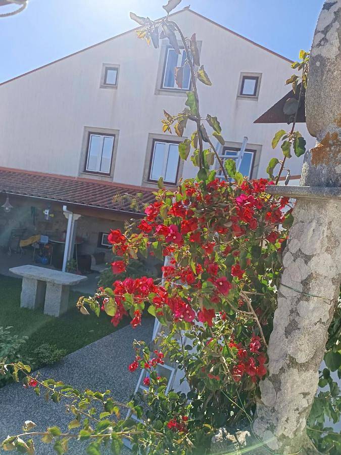 Maison d’hôte pour 2 personnes, avec piscine ainsi que terrasse et vue à Vila Praia de Ancora - 4
