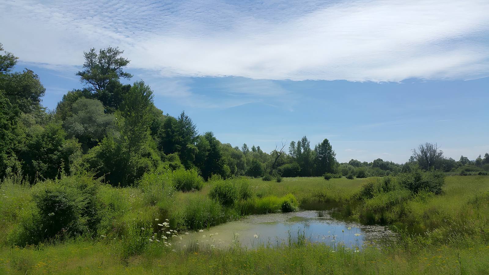 Entire holiday apartment, Apartments im Tsb Sportpark - Ferienwohnung 2, 53qm , 1 Schlafzimmer, max. 2 Personen in Weil am Rhein, Landkreis Lörrach