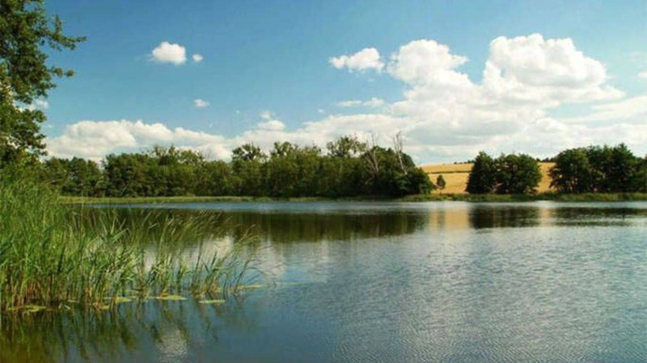 Ganze Ferienwohnung, Ferienwohnung für 2 Personen (40 m²) in Teterow in Malchin, Kummerower See