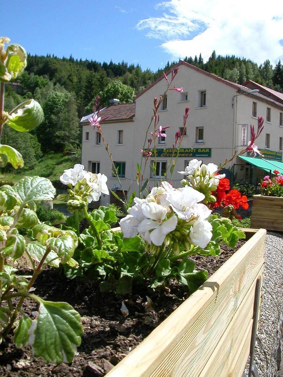 Double Room in Saint-Cirgues-en-Montagne, Parc naturel régional des Monts d'Ardèche