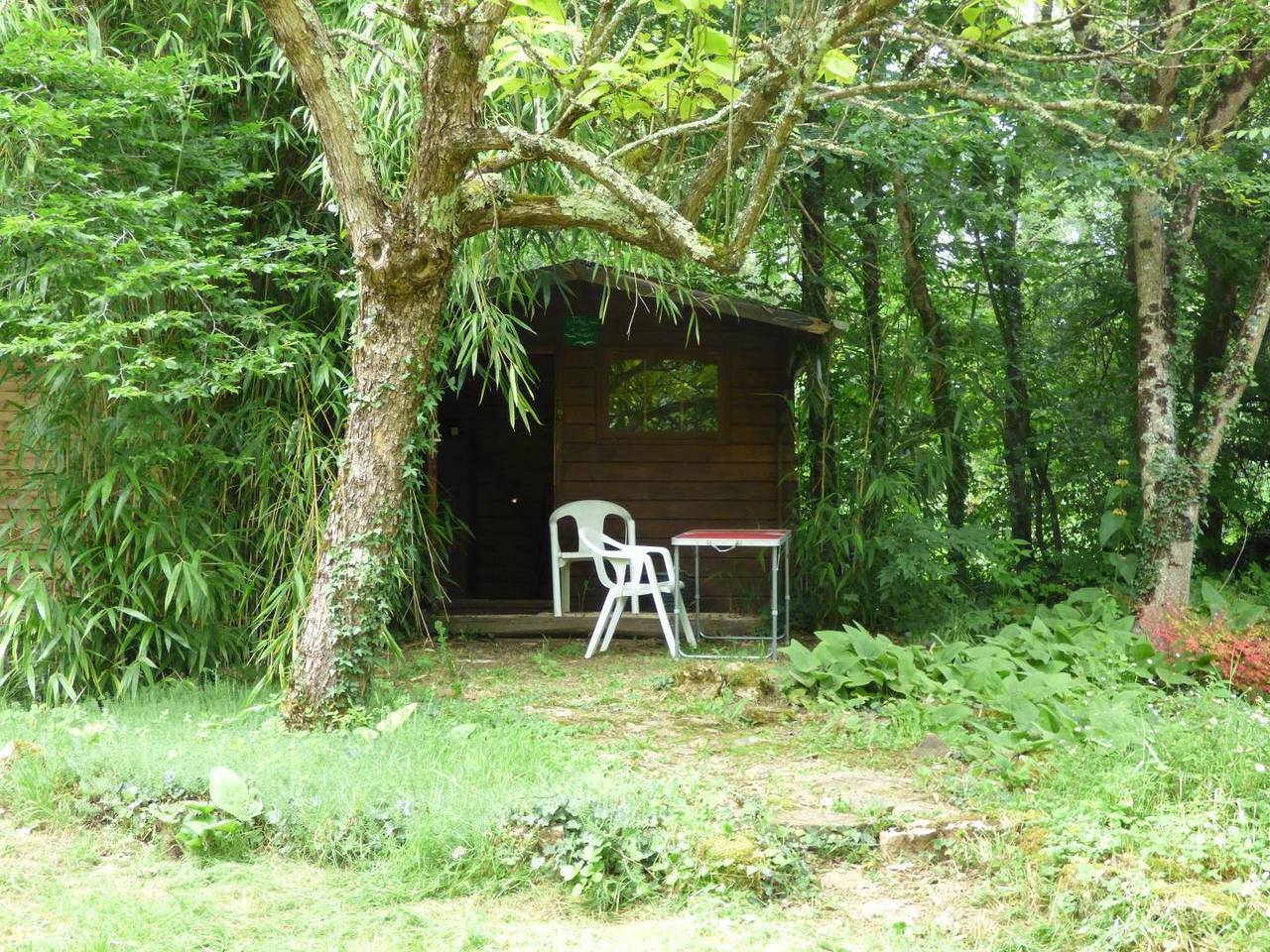Le Vieil Orme in Saint-Brice-sur-Vienne, Parc naturel régional Périgord-Limousin