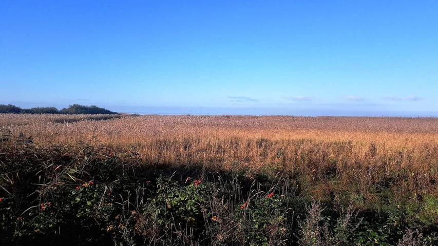 Ferienhaus für 6 Personen, mit Terrasse in Skjern - 4
