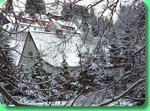 Ferienwohnung für 4 Personen, mit Garten und Terrasse, kinderfreundlich in Wildemann - 4