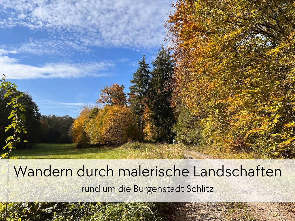Ganze Ferienwohnung, Ferienapartments Hinterburg Schlitz - Gräfin Anna in Schlitz, Rhön-Hessen