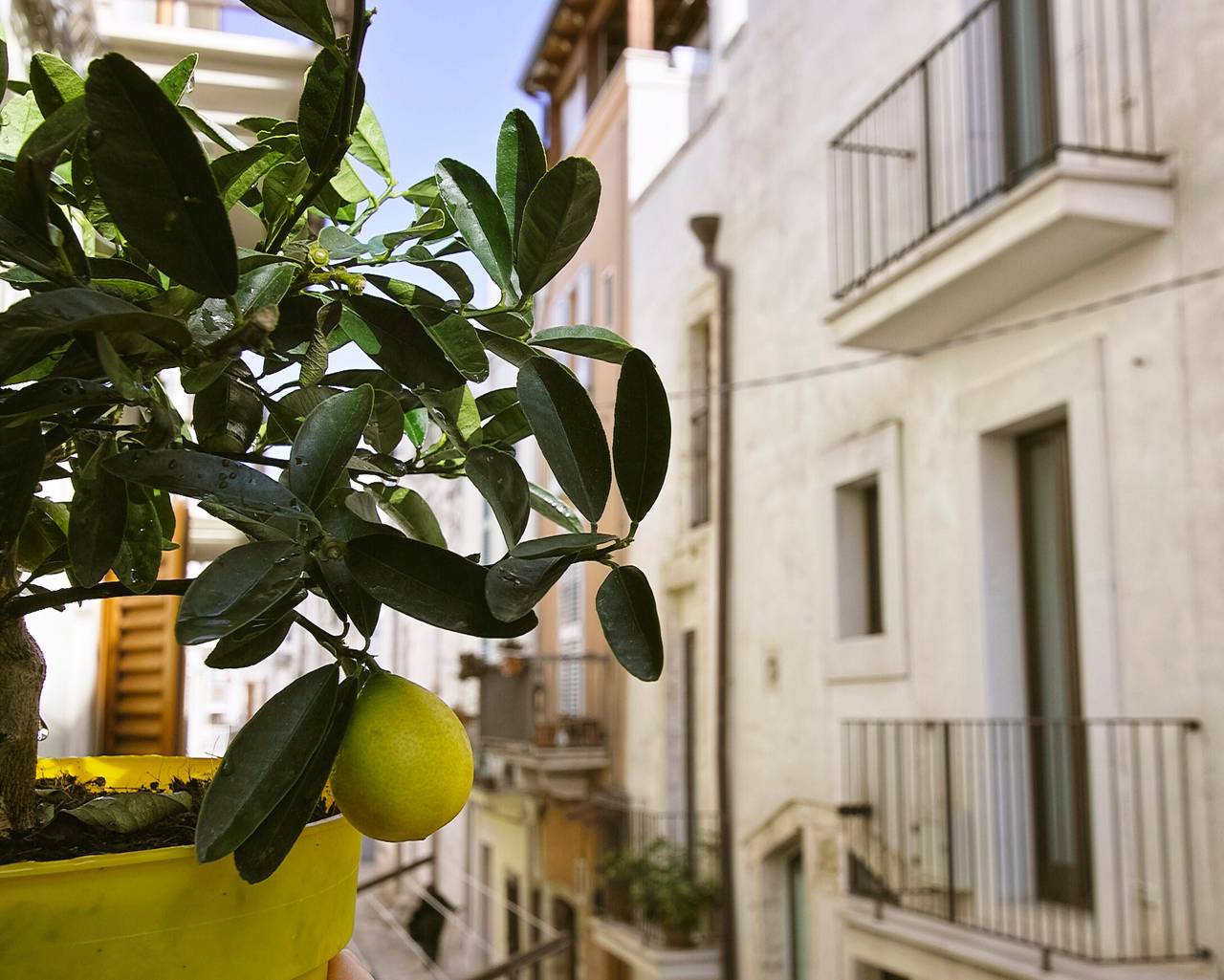 Camera 'Dimora Nonna Rosa Tripla' con Balcone, Wi-Fi e Aria Condizionata in Conversano, Provincia di Bari