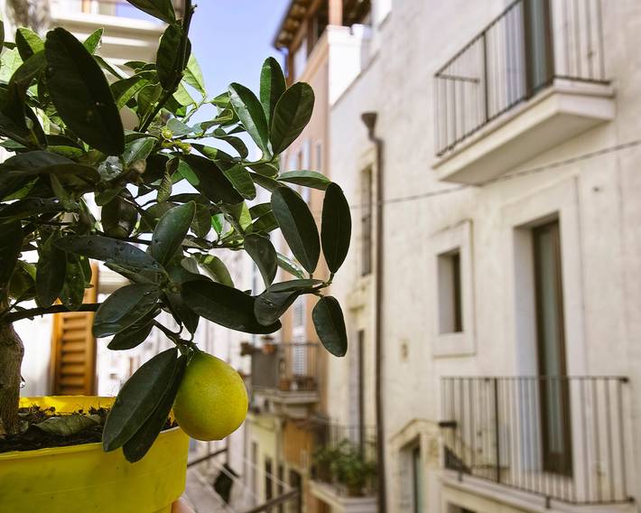 Gîte pour 2 personnes à Conversano - 2