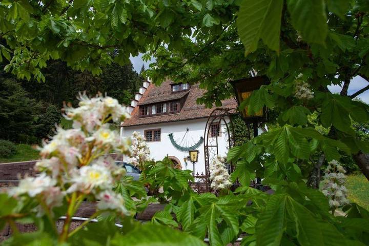 Ferienhaus für 11 Personen, mit Balkon/Terrasse und Terrasse in Freudenstadt - 2