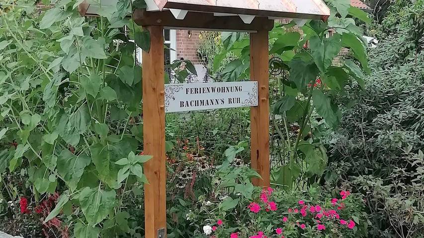 Ferienwohnung für 4 Personen, mit Garten in Wietzendorf - 2