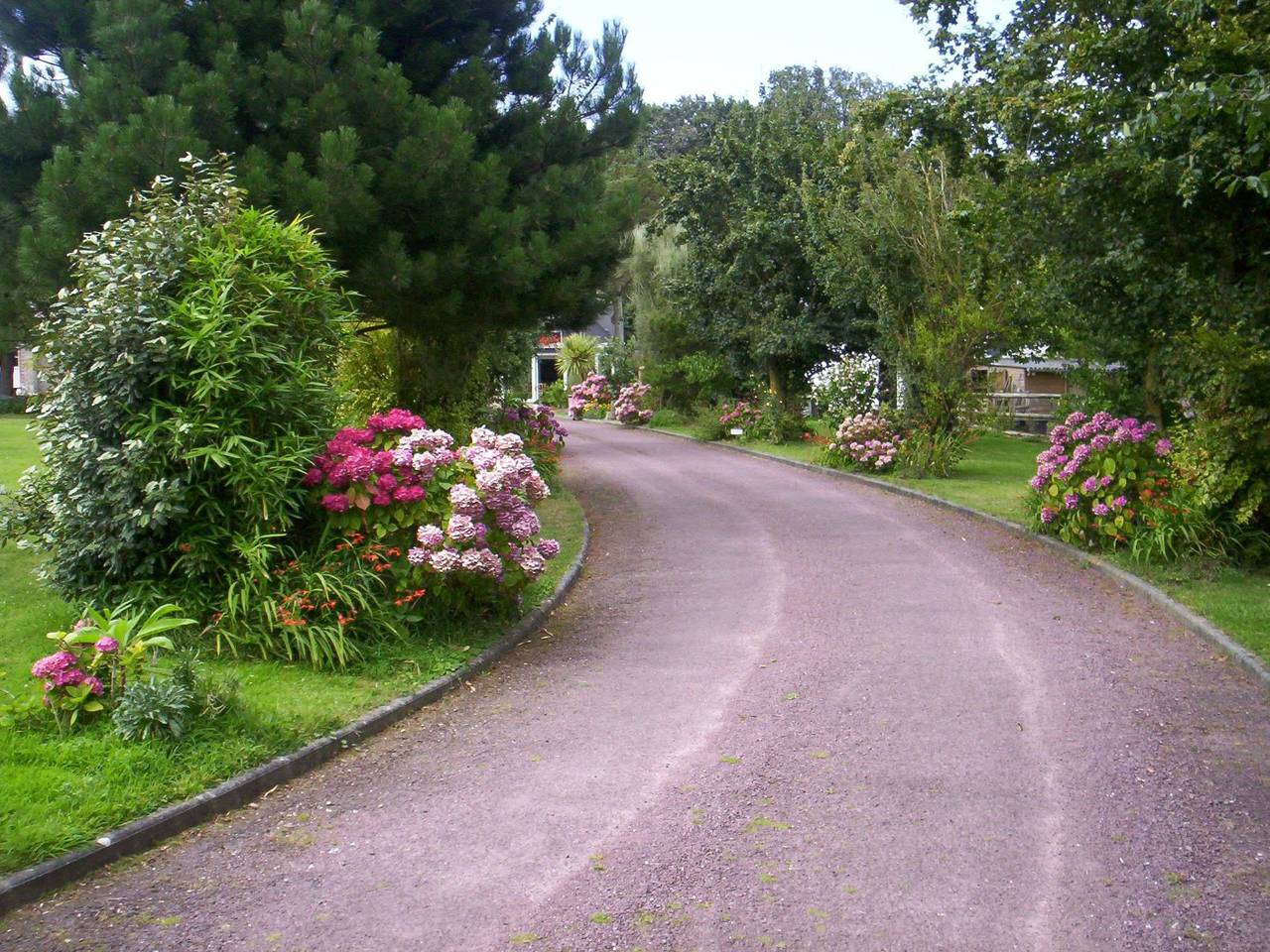 "L'Eucalyptus in Crasville, Région de Cherbourg