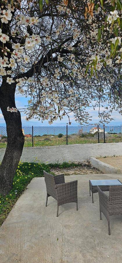 Location de vacances pour 4 personnes, avec vue et jardin, animaux acceptés dans Agistri - 2