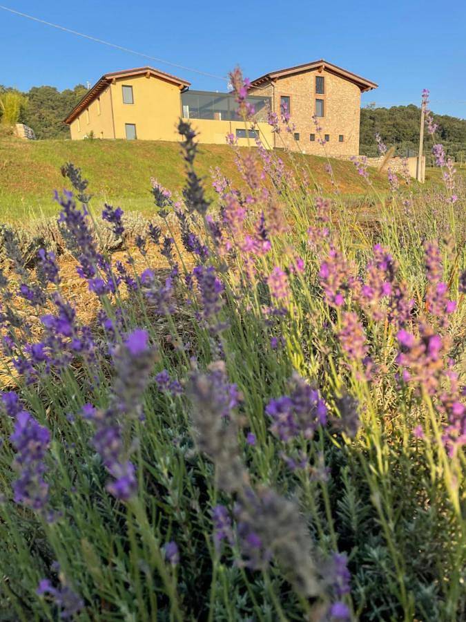 Agriturismo Al Mancino in Lonato del Garda, Prealpi Gardesane