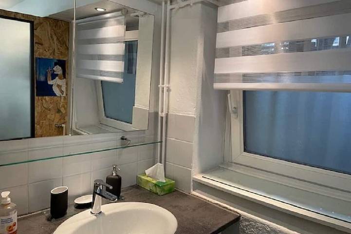 Entire apartment, Studio 25 m² Côté Parc des Contades in Strasbourg, Strasbourg region