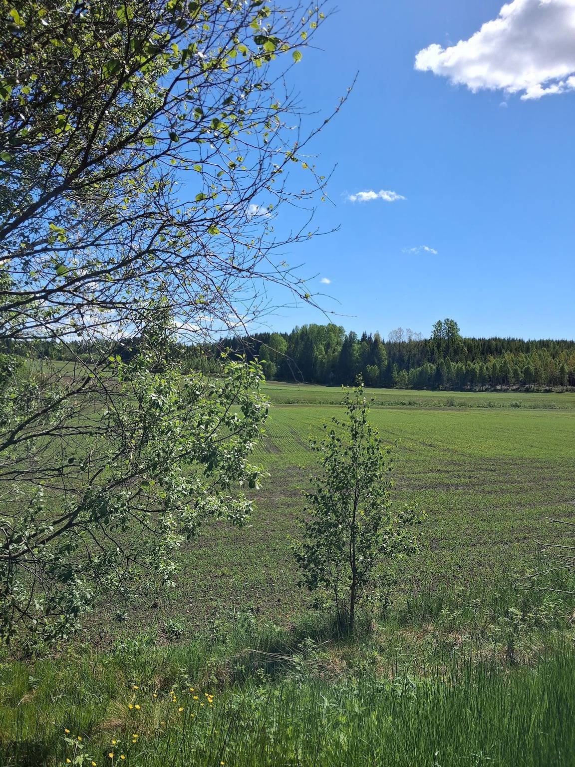 Hel leilighet, Ferieleilighet for 4 personer in Bullarebygden