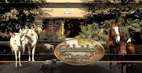 Ferienwohnung für 5 Personen in Dedelstorf, Landkreis Gifhorn, Bild 1