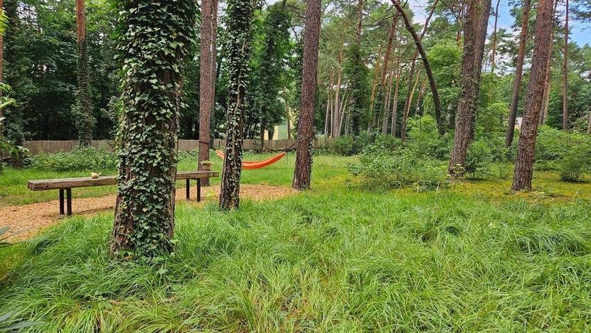 Ferienhaus für 2 Personen, mit Terrasse und Garten in Bad Saarow - 4