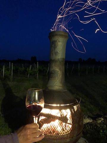 Location de vacances pour 2 personnes, avec jardin et vue à Pugnac - 2