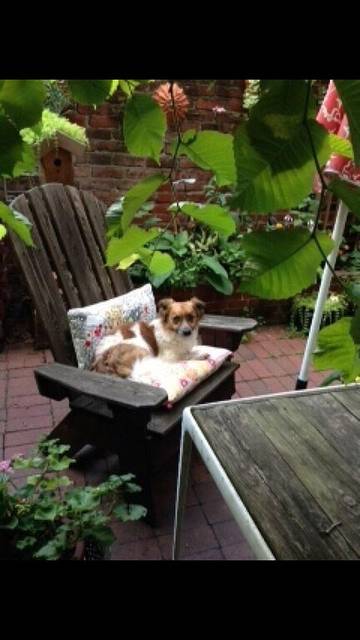 Apartment for 2 Guests in Society Hill, Philadelphia, Picture 4