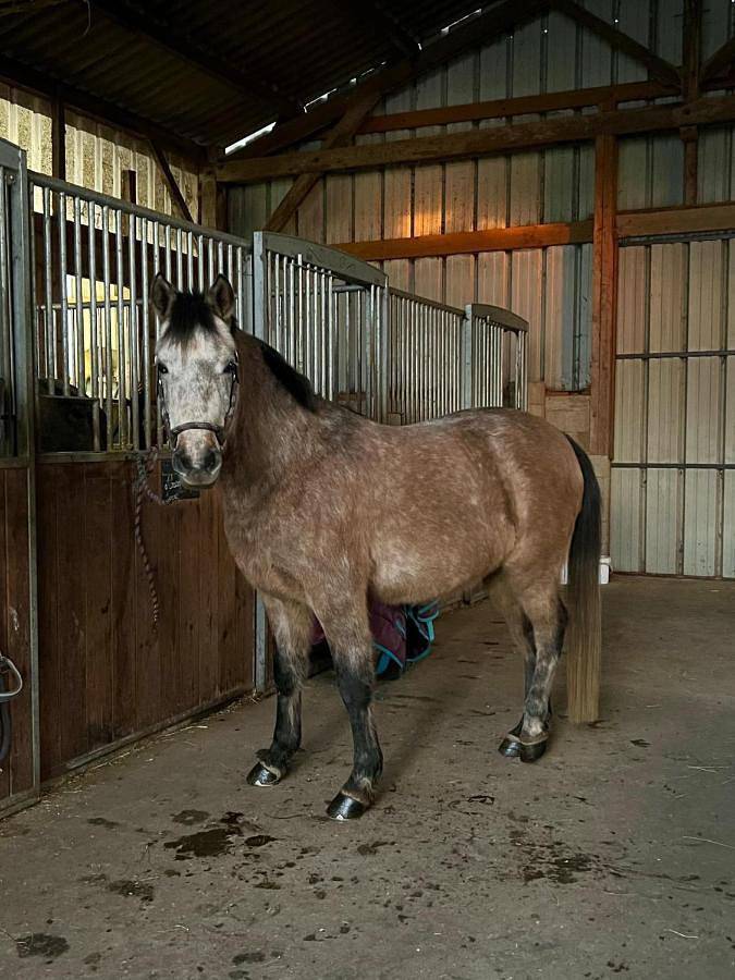 Chambre d’hôte pour 3 personnes, avec jardin dans Theix-Noyalo - 4