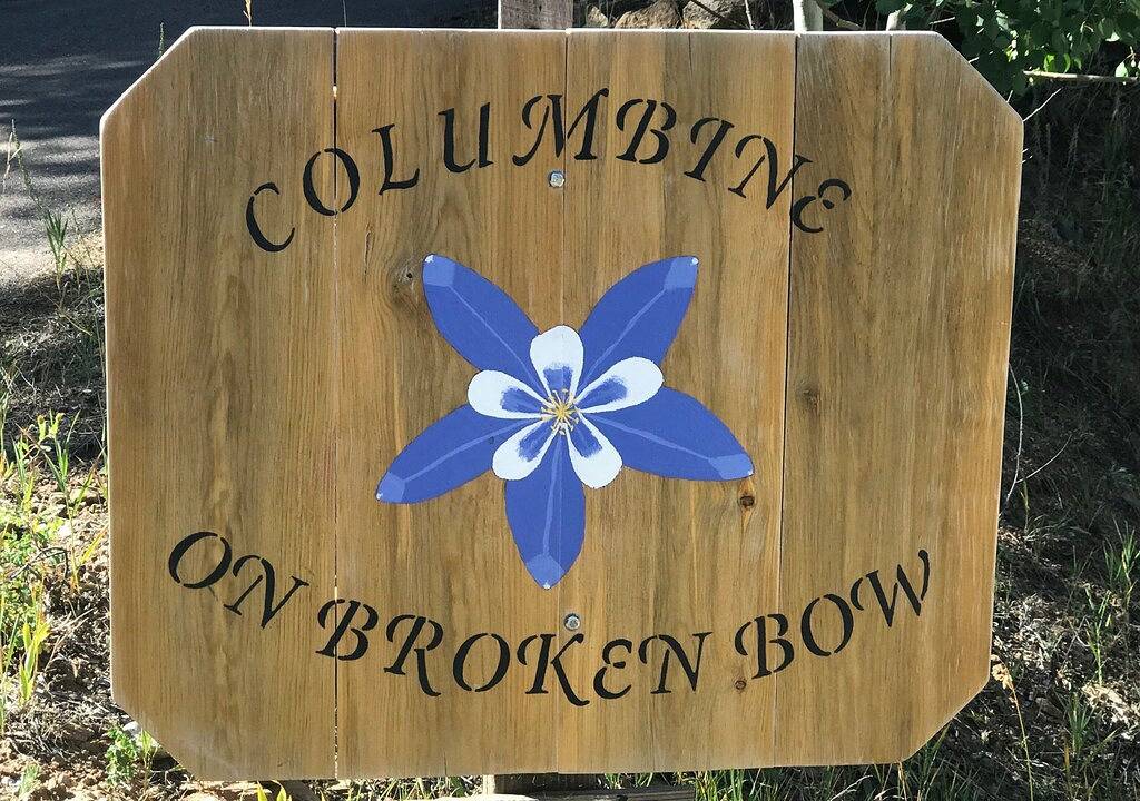 Columbine auf Broken Bow-Colorado Outdoor-Paradies am Eleven Mile Reservoir! in Park County