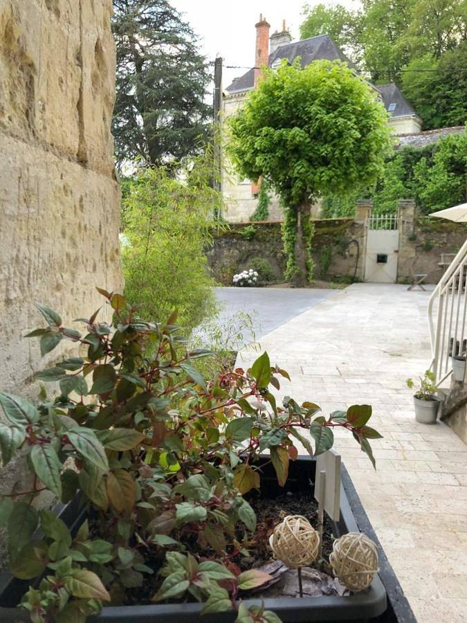 Chambre d’hôte pour 3 personnes, avec vue et jardin à Rochecorbon - 3