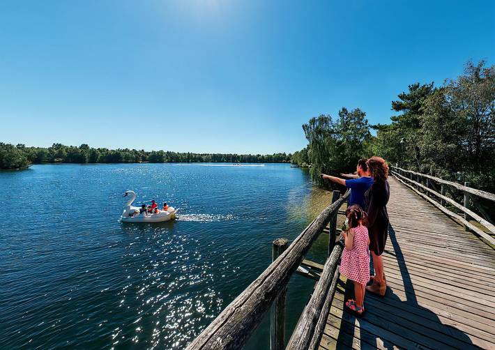 Location de vacances pour 2 personnes, avec piscine à Lommel - 4