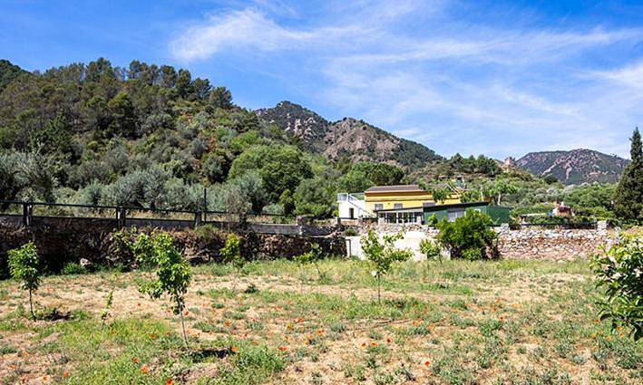 Casa rural para 15 personas, con Terraza además de Jardín y Vistas en Parc Natural de la Serra d'Espadà - 3