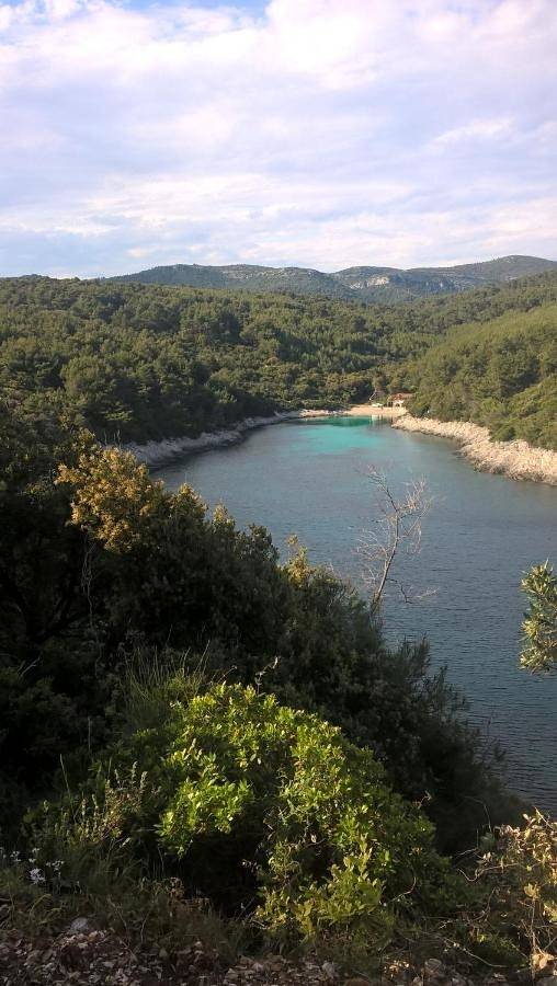 Ferienwohnung für 4 Personen, mit Ausblick und Balkon - 1