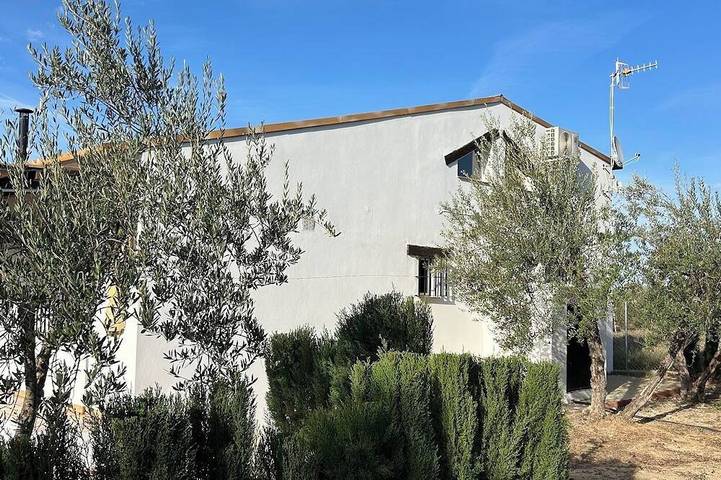 Ländliches Paradies zwischen Olivenbäumen und einzigartigen Sonnenuntergängen in Arahal, Sevilla Provinz