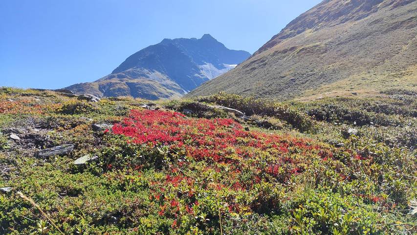 Ferienwohnung für 9 Personen, mit Balkon in Sankt Jakob in Defereggen - 4