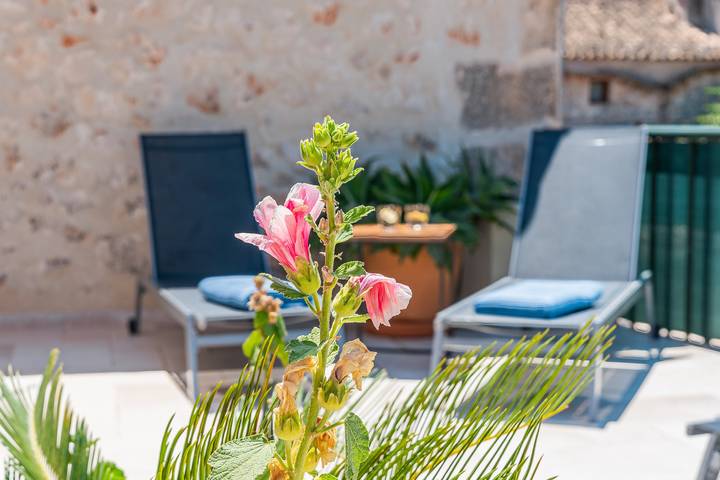 Finca für 6 Personen in Sineu - 4