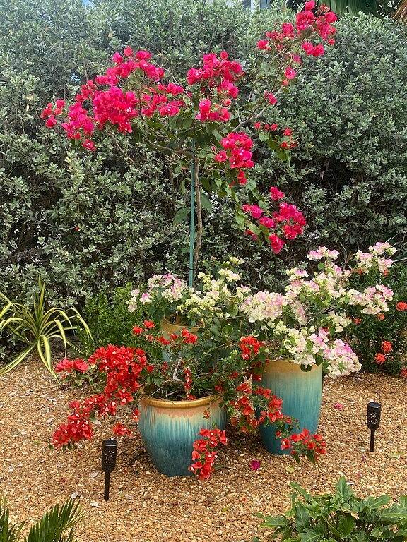 Paradise Getaway Flamingo Island, Marathon in Sombrero Beach, Marathon