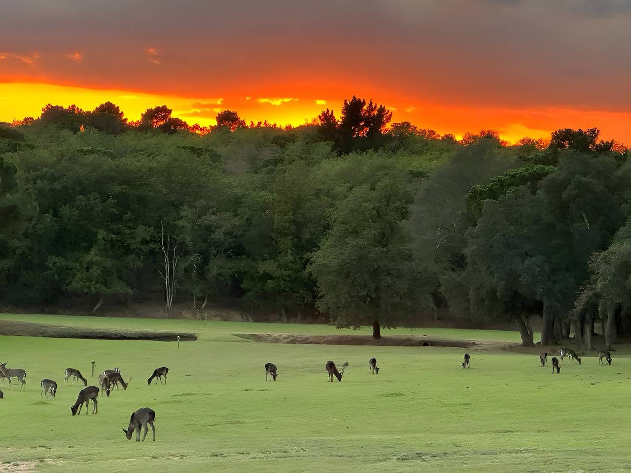 Geheel appartement, Appartement in landelijke woning Baix Empordà nabij strand, midden in het bos. Grote tuin/barbecue. in Caldes de Malavella, Costa Brava